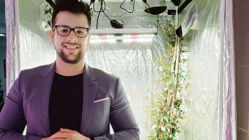 luz en cultivos controlados, un negocio exitoso