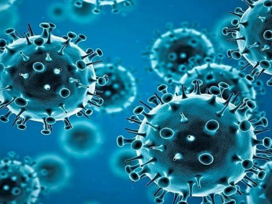 coronavirus.jpg