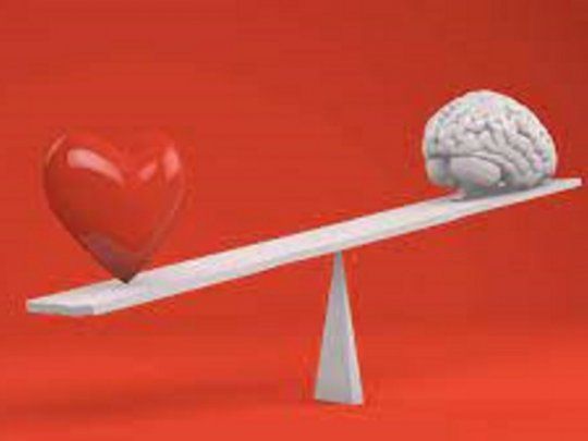 El cerebro y el amor.&nbsp;