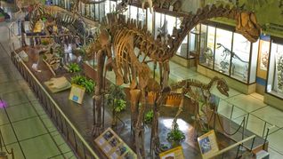 Museo de Ciencias Naturales del Parque Centenario.&nbsp;