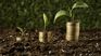 The Brazilian government placed $2 billion in a green bond, competing with the Uruguayan one in the market. The Brazilian government placed $2 billion in a green bond, competing with the Uruguayan one in the market.