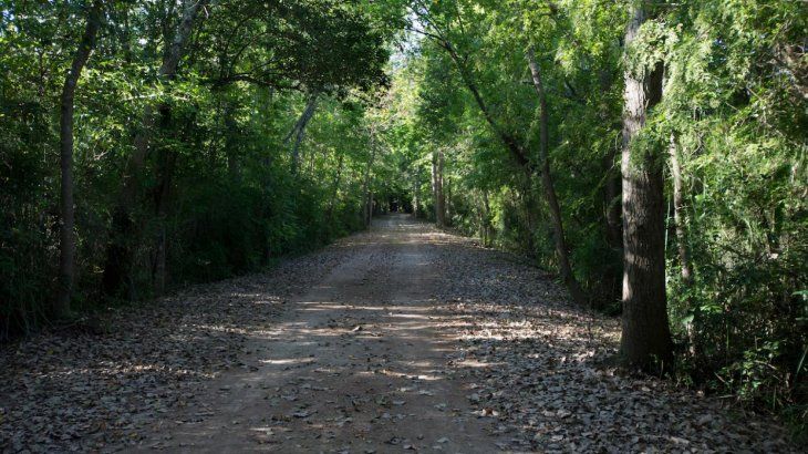 Un lugar rodeado por la naturaleza, ideal para caminar, estar al aire libre y hasta realizar avistamiento de aves. Un lugar rodeado por la naturaleza, ideal para caminar, estar al aire libre y hasta realizar avistamiento de aves.