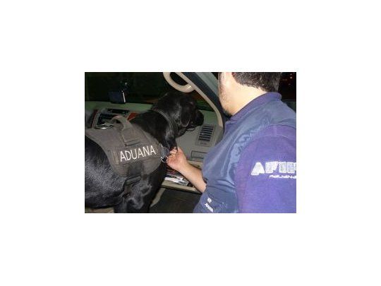 En uno de los casos el dinero se encontraba debajo de la alfombra del vehículo.