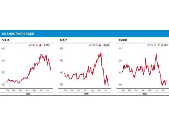 Soja: cerró en u$s361,47 y cayó 2,26%