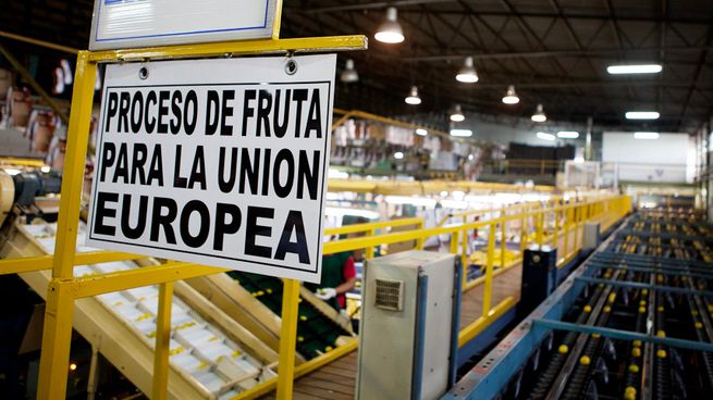 Una porción importante del limón que se produce en el NOA se destina a la Unión Europea.&nbsp;