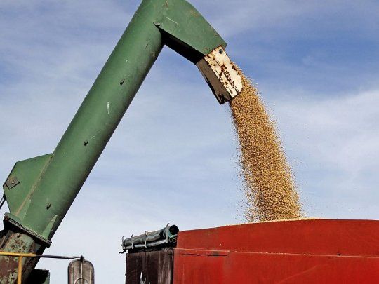 En 2019, la Argentina lleva exportado a China  4,3 millones de toneladas de porotos de soja (80% del total), y 163.954  toneladas de aceites de soja (4%).