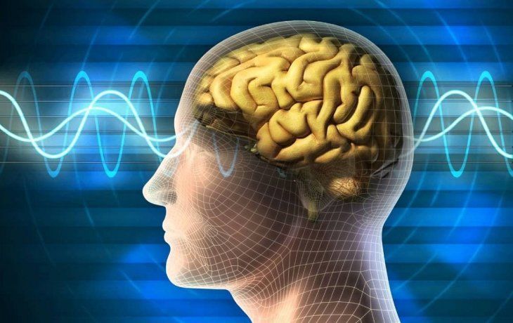 Gimnasia para el cerebro.&nbsp;