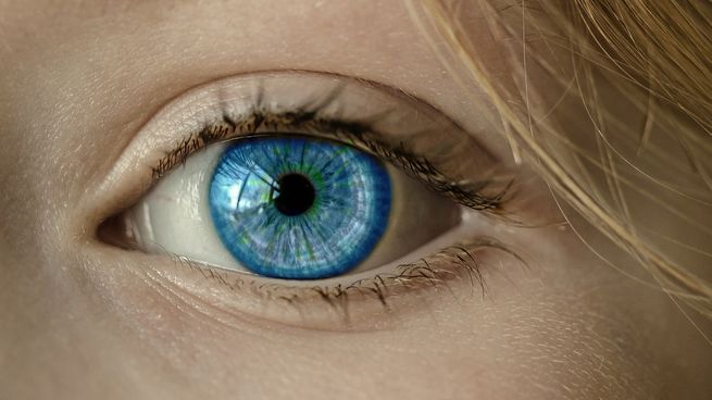 eye-1173863_1280.jpg