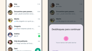 Lo nuevo de WhatsApp: podés transferir el historial de chats en un solo paso