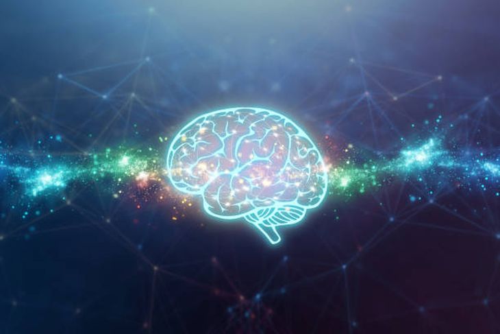   Discover the mystery of memory: the Harvard technique that revolutionizes learning