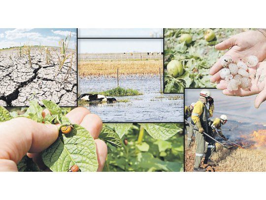 Eterno debate: cómo disminuir los riesgos en el campo