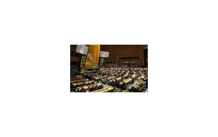 Asamblea General de Naciones Unidas.