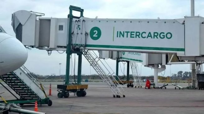 El Gobierno confirmó la desvinculación de 15 empleados de Intercargo tras la medida de fuerza del martes.