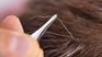 Un ingrediente común puede transformar la apariencia de tu cabello con canas.
