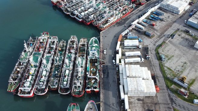 La Estrategia Federal Logística busca mejorar y desarrollar puertos, rutas y pasos de frontera, entre otros ítems.