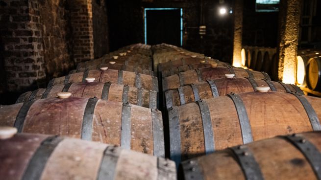 La producción de vinos cayó en Uruguay durante 2023.