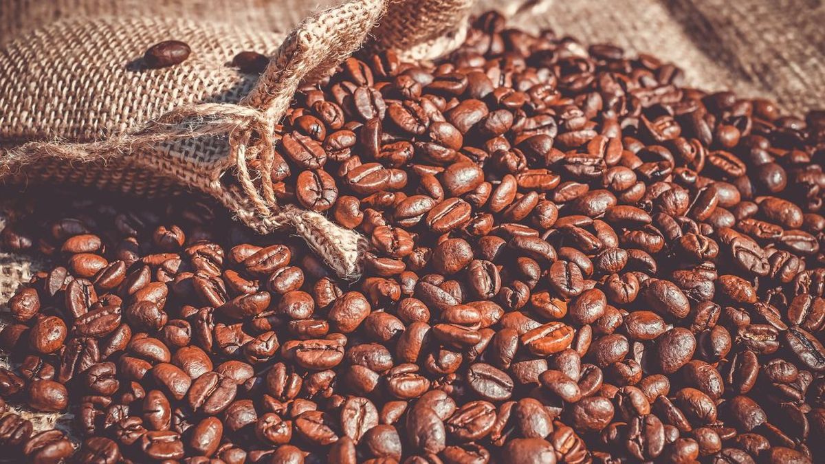 La taza de café más cara del mundo cuesta 3.280 ¿qué