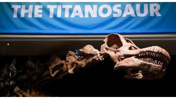 El nombre puede traducirse como Gigante de la Patagonia.