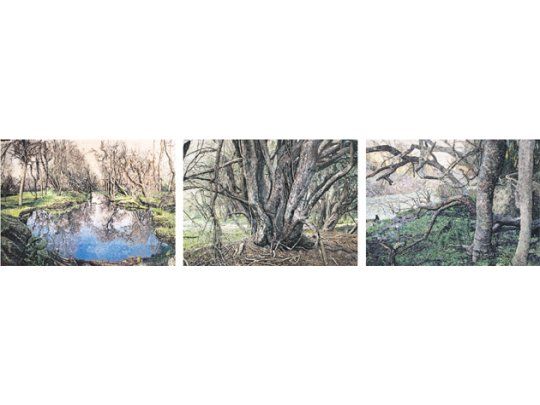 Fragmentos de “Paisaje”, extenso friso de 10 centímetros de profundidad y de 45 metros de extensión, que los integrantes de Mondongo elaboraron durante cuatro años tras un viaje a Entre Ríos, a todas luces revelador.