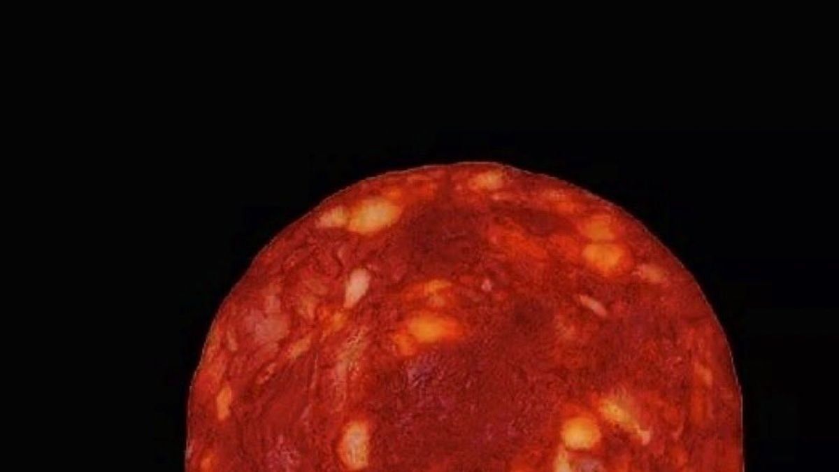 a french scientist presented a star and it was a slice of salami