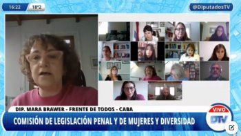 Avanzó en Diputados proyecto que incorpora la perspectiva de género a los delitos intrafamiliares
