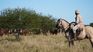 Además de las tierras, la compra incluye 4.000 animales de raza Brangus colorado, utilizados para la producción de carne.