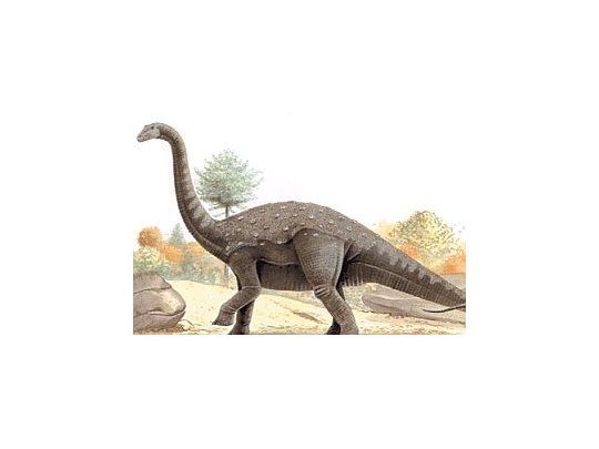 Novedoso: toman temperatura a restos de dinosaurios que vivieron en Argentina