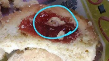 Las galletas recibidas tenían gusanos.