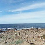 El hombre había salido a bordo de un vehículo color amarillo y no había regresado a la orilla, lo que activó una alerta a las autoridades. El hombre había salido a bordo de un vehículo color amarillo y no había regresado a la orilla, lo que activó una alerta a las autoridades.