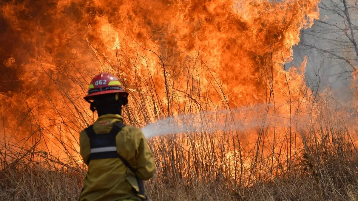 Cinco provincias registran incendios forestales activos