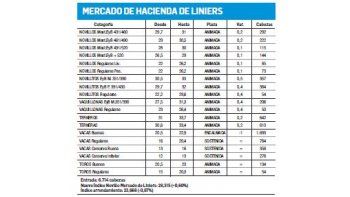 Alzas en casi todas las categorías