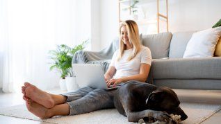 La ciencia descubrió el motivo de uno de los principales gestos de los perros. La ciencia descubrió el motivo de uno de los principales gestos de los perros.