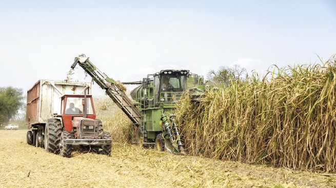 exportaciones. Los ingenios azucareros de Tucumán se mostraron optimista con la devaluación para mejorar la rentabilidad de las exportaciones, con Chile como mercado principal, seguido por Uruguay y Alemania.