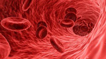 Piden que el tipo de sangre sea tomado en cuenta a la horade elegir el procedimiento para tratar a los pacientes con coronavirus.
