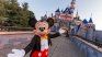 Disney World. Disney World.