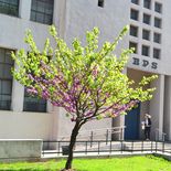 El BPS destinó u$s 8 millones a prestaciones, entre jubilaciones, asignaciones y subsidios. El BPS destinó u$s 8 millones a prestaciones, entre jubilaciones, asignaciones y subsidios.