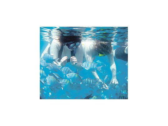 Los diversos tipos de buceo reinan en las playas calmas y el surf en las bravas.