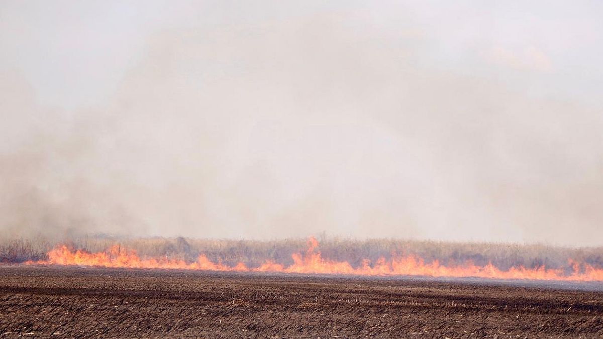 Entre Ríos despliega acciones frente a los "próximos 40 días" por los incendios en el Paraná