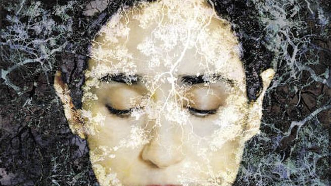 Parcero. “Consciousness Terra, #4”, una de las obras de la muestra.