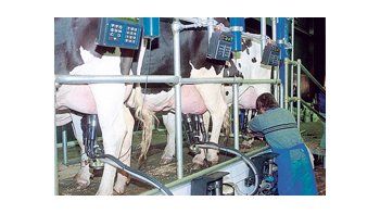 Según datos de la MNPL, los productores tamberos reciben hoy $ 1,70 por litro de leche, pero el costo de producción está entre $ 1,95 y $ 2,07 por litro según las regiones.