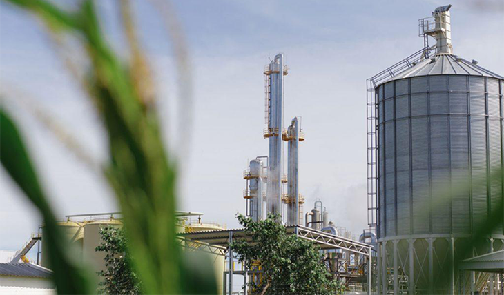 Las entidades del sector de biocombustibles aseguran que el corte en el país está atrasado, en relación al Mercosur.
