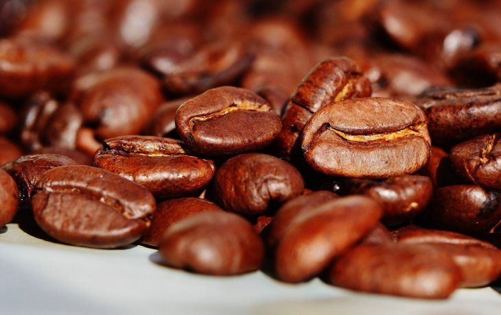 Café robusta.