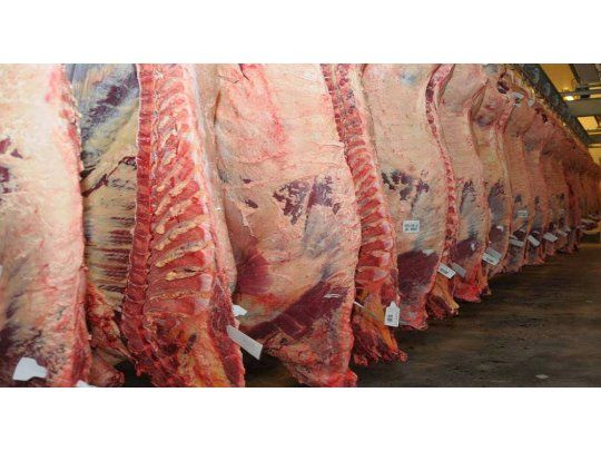 Bajaron los precios por mucha oferta en Liniers