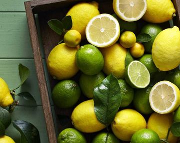 Día Mundial del Limón: cuáles son los beneficios para la salud