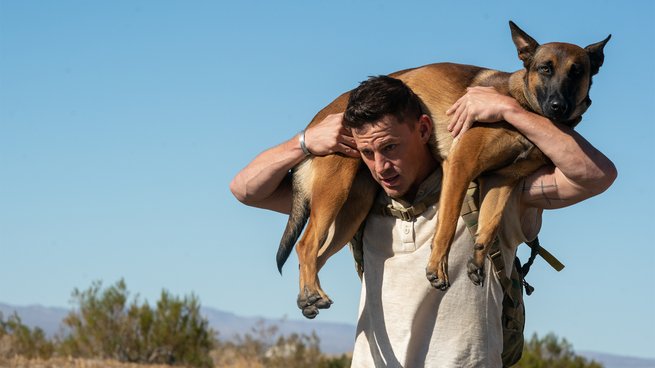 Available in Prime Video: The emotional Channing Tatum movie and his dog that is based on real events