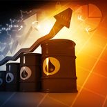 Arabia Saudita es uno de los principales productores y exportadores de petróleo del mundo, y los ataques contra su infraestructura, junto con la reactivación de los combates cerca del estrecho de Bab el-Mandeb, representan riesgos para el transporte marítimo y el abastecimiento de crudo.