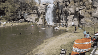 la cascada cercana a guadalajara oculta dentro de un bosque que puedes visitar durante enero 2026 la cascada cercana a guadalajara oculta dentro de un bosque que puedes visitar durante enero 2026