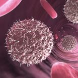 El tratamiento experimental une dos fármacos ya aprobados que refuerzan la respuesta del sistema inmunitario contra el cáncer. El tratamiento experimental une dos fármacos ya aprobados que refuerzan la respuesta del sistema inmunitario contra el cáncer.