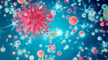 Proteína contra el Covid-19.&nbsp;