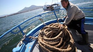 La pesca tuvo un aumento del 300% interanual en julio.
